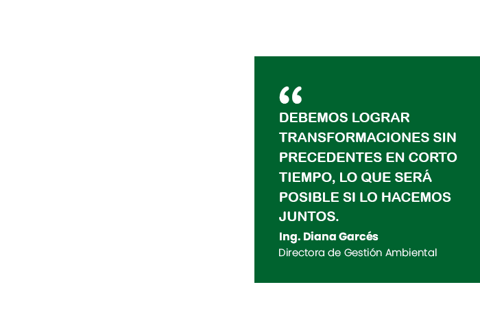 Frase-cultura-web-gad-6
