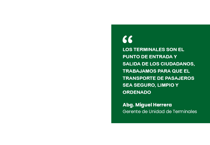 Frase-cultura-web-gad-9