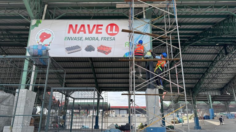 Mercado Mayorista con visión futurista