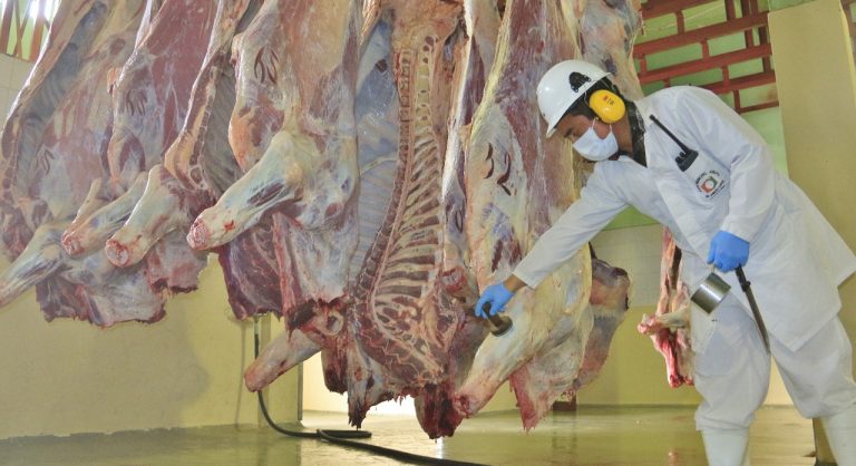 Camal Municipal: Innovación y calidad para el 2025
