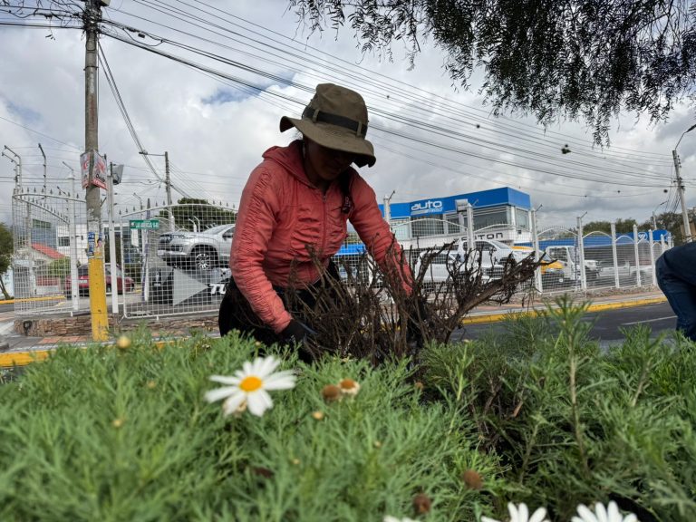 La administración municipal trabaja para fortalecer la convivencia armónica entre los ciudadanos, la urbanización y la naturaleza. Mensualmente se intervienen 126 lugares, cubriendo una extensión aproximada de 600.000 m².