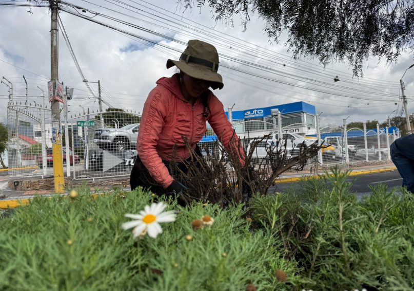 La administración municipal trabaja para fortalecer la convivencia armónica entre los ciudadanos, la urbanización y la naturaleza. Mensualmente se intervienen 126 lugares, cubriendo una extensión aproximada de 600.000 m².