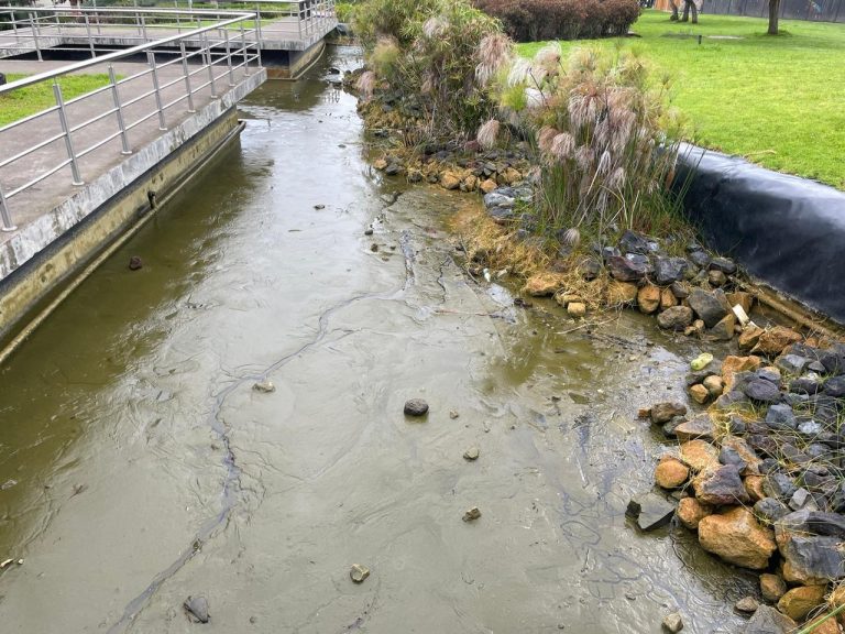 Pileta del parque Las Flores sufrió atentado