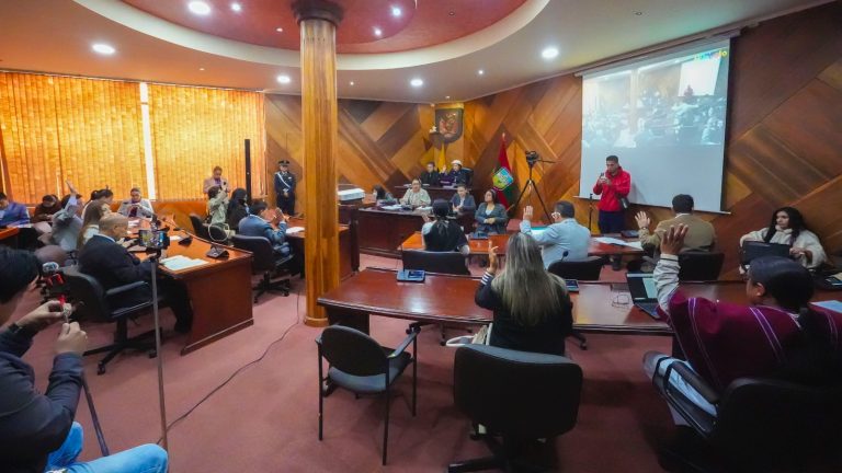 Concejo aprobó mejoras viales y debatió normativa de control social