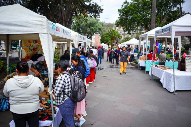 AGENDA VIOLETA: EMPRENDIMIENTO Y EQUIDAD EN ACCIÓN