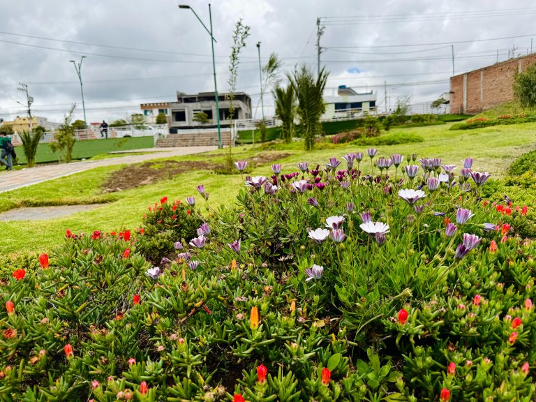 PARQUE TROYA RENACE CON ESPECIES NATIVAS Y SE SUMA A LA REFORESTACIÓN DE AMBATO