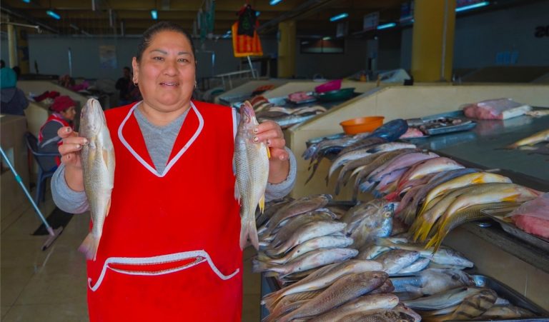 “YAPADITO CON AMOR” LLEGA AL CENTRO COMERCIAL SIMÓN BOLÍVAR CON LO MEJOR DEL MAR