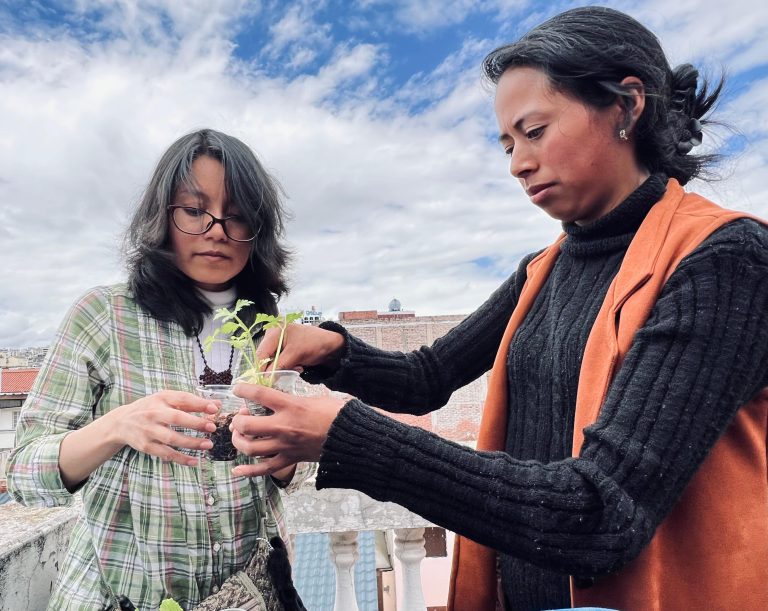 TALLER DE HUERTOS URBANOS EN LA ESCUELA DE EMPRENDIMIENTO MUNICIPAL FORTALECE LA EDUCACIÓN AMBIENTAL