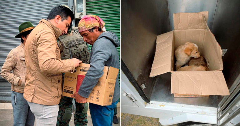 OPERATIVO CONTRA LA VENTA INFORMAL DE ANIMALES EN EL MERCADO AMÉRICA