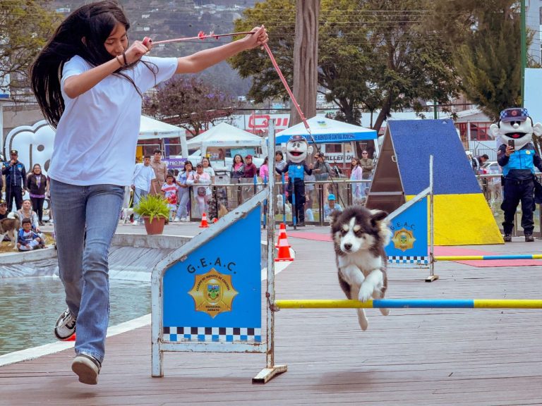 CLAUSURAN TALLERES DE ADIESTRAMIENTO CANINO CON ÉXITO