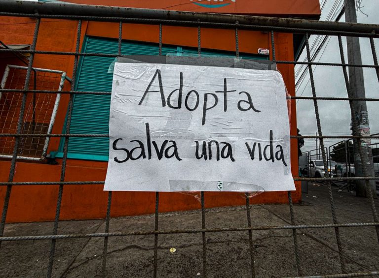 RESCATE, PROTECCIÓN Y ADOPCIÓN, EL COMPROMISO DE AMBATO