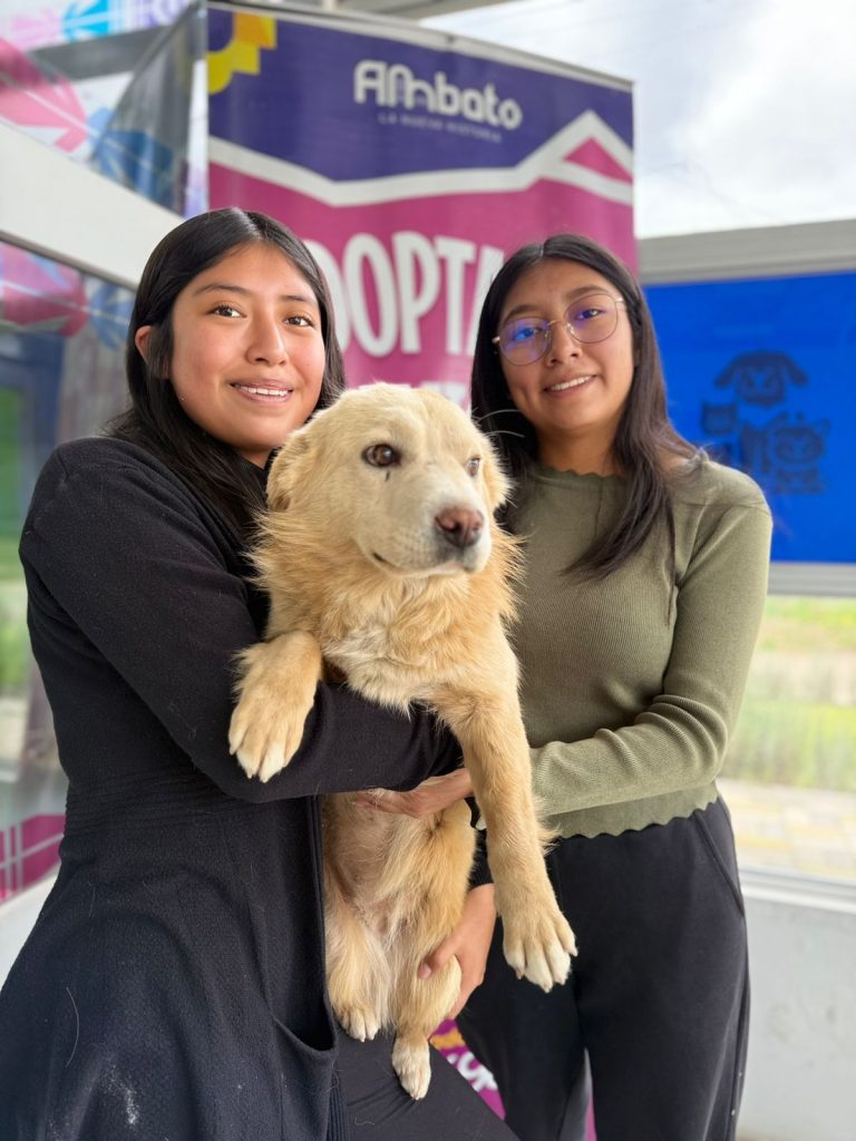 EN WIWAKUNAPAK CADA ADOPCIÓN RESPONSABLE TRANSFORMA UNA VIDA
