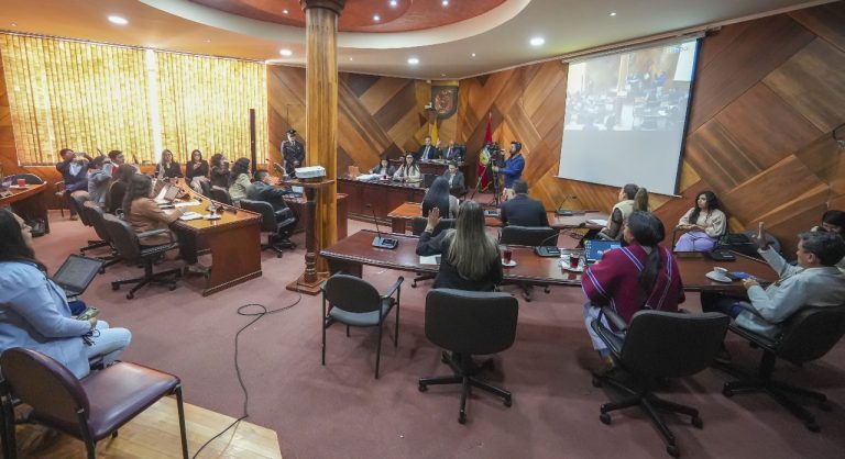 CONCEJO MUNICIPAL DEBATE SOBRE LA FERIA DE ANIMALES MENORES