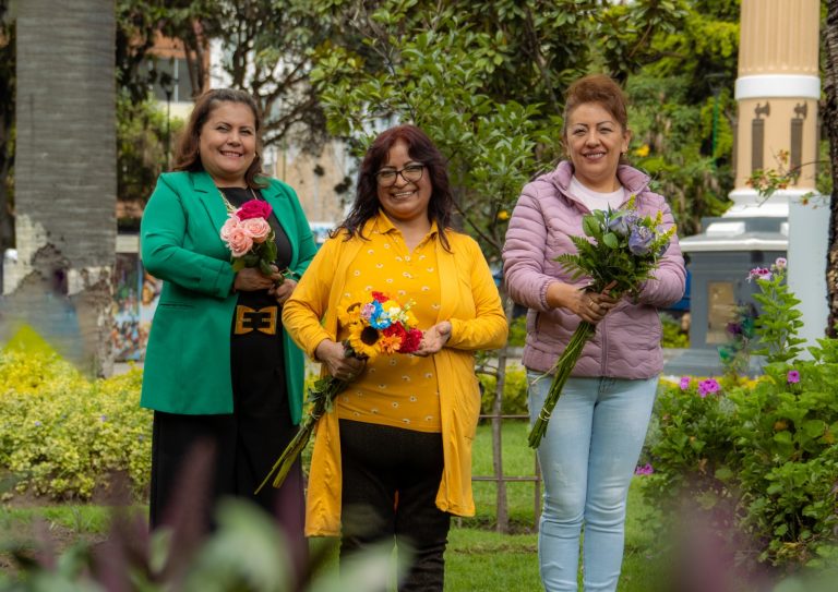 FLORES AMARILLAS ILUMINAN EL BOULEVARD DE LAS FLORES EN AMBATO