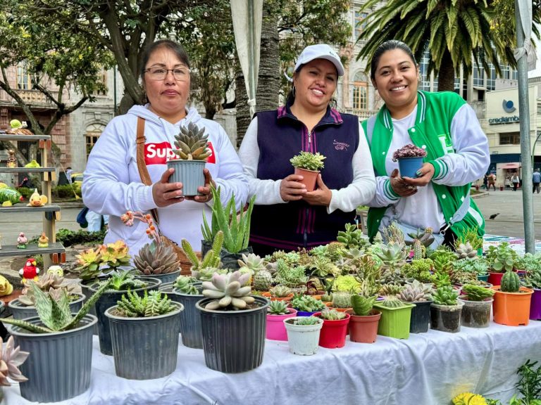 SEMILLERO DE EMPRENDEDORES IMPULSA LA INNOVACIÓN LOCAL
