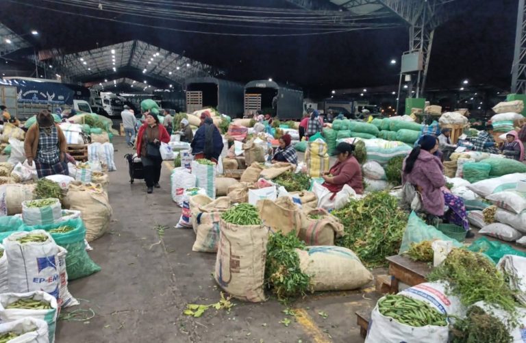 MERCADO MAYORISTA GARANTIZA ABASTECIMIENTO PESE A BLOQUEOS NACIONALES