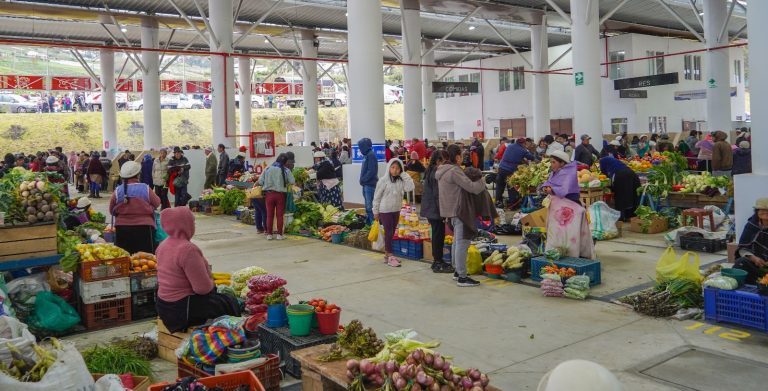 PLAZAS Y MERCADOS MANTIENEN ABASTECIMIENTO NORMAL EN EL CANTÓN