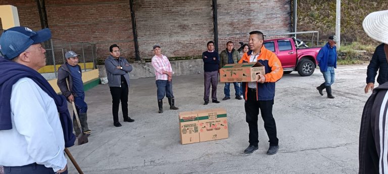 MERCADO MAYORISTA IMPLEMENTA NUEVO MODELO DE EMBALAJE PARA MANDARINA