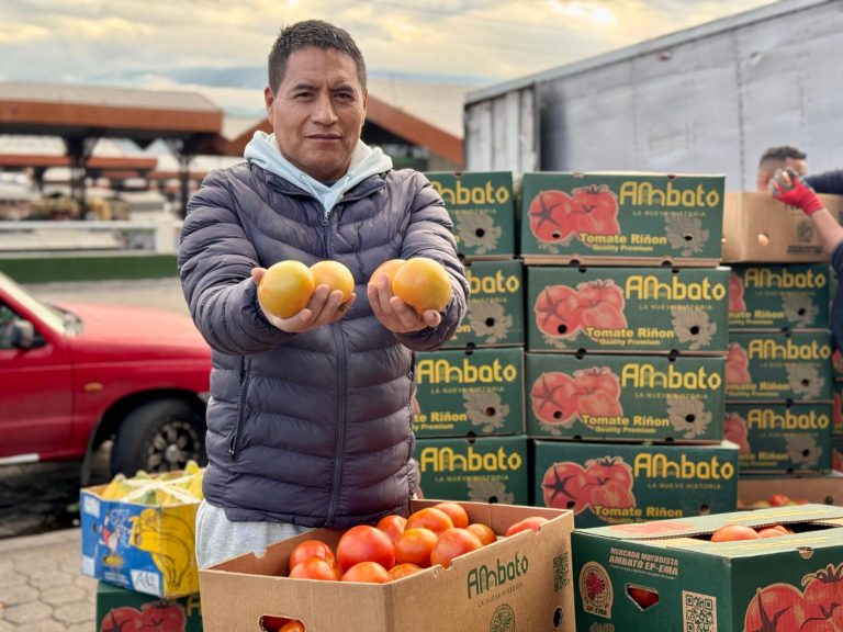 MERCADO MAYORISTA IMPULSA INNOVACIÓN, INFRAESTRUCTURA Y EXPORTACIÓN AGRÍCOLA