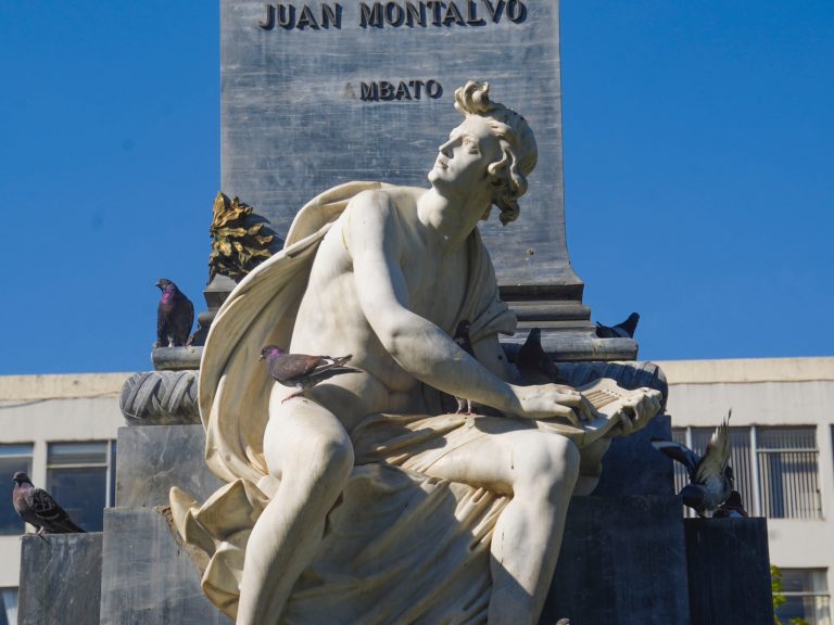 OPERATIVO TÉCNICO PARA EL MANEJO POBLACIONAL DE PALOMAS EN LA CIUDAD