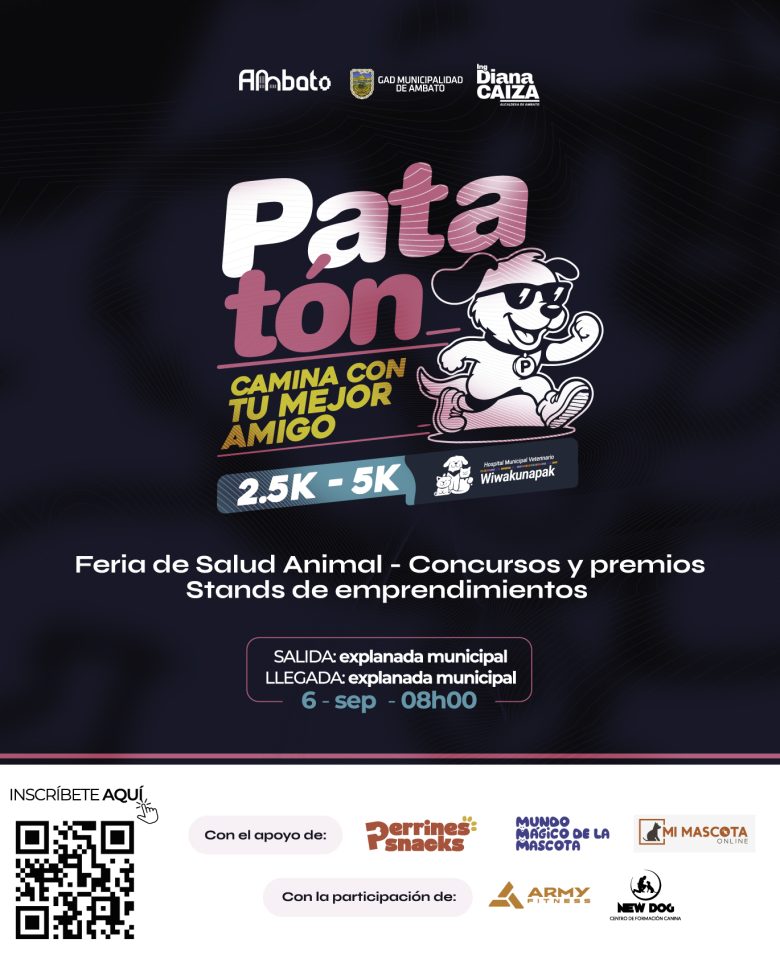 PATATON BOTON WEB