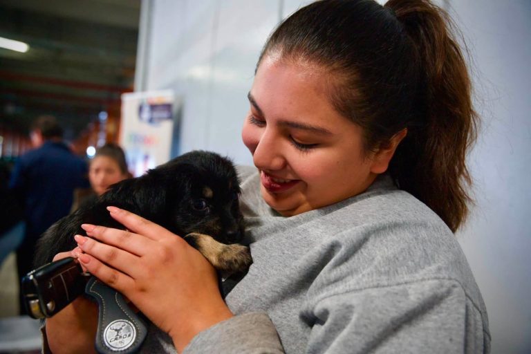 Ellos esperaban una familia y Ambato les abrió el corazón